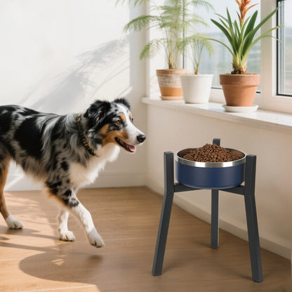 Elevated dog bowl